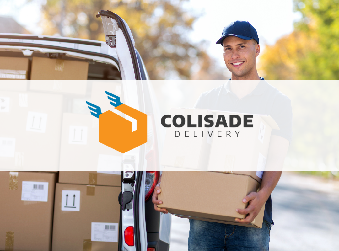 Colisade: Delivery Business